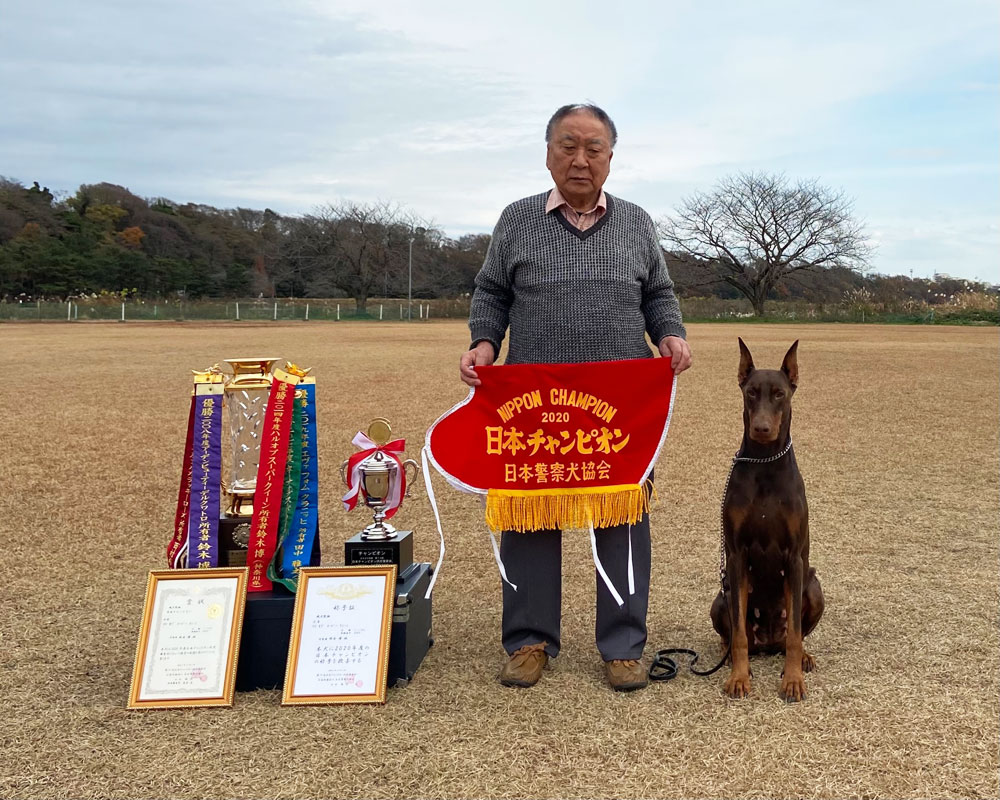 日本チャンピオン成犬メス組　日本一